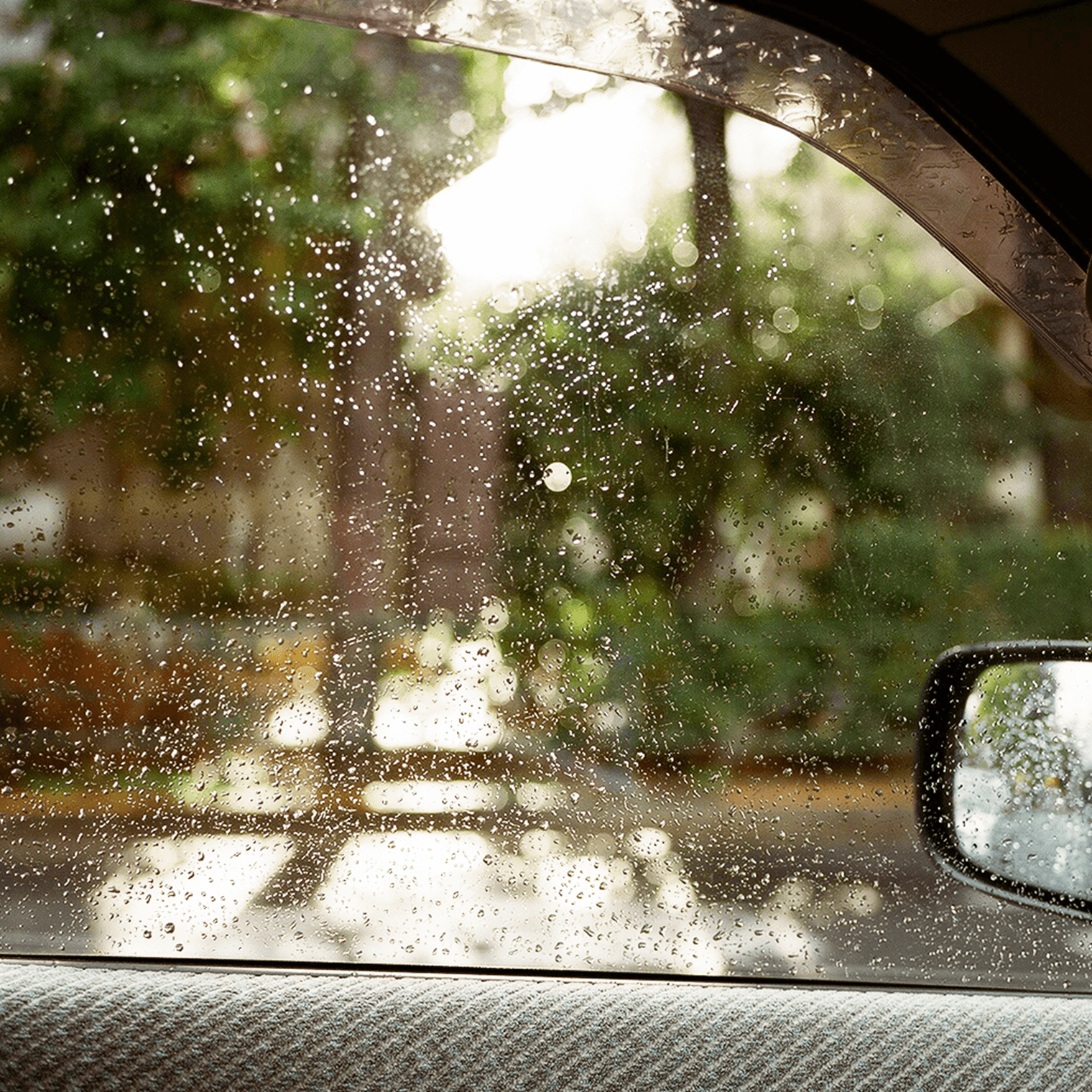 車内からの風景の写真