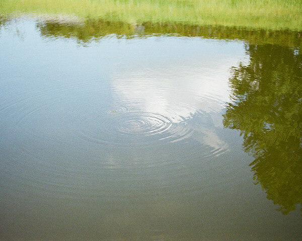 水面の波紋の写真